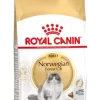 Royal Canin Norwegian Forest Cat Adult Kat 10kg