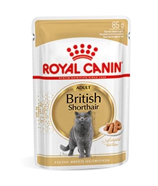 Royal Canin British Shorthair Adult Natvoer Kat 48x 85g