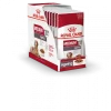Royal Canin Medium Ageing 10+ Hondenvoer 10x 140g