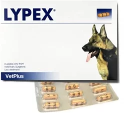 Lypex Hond-kat Caps 60