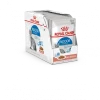 Royal Canin Indoor Kattenvoer 12x 85g