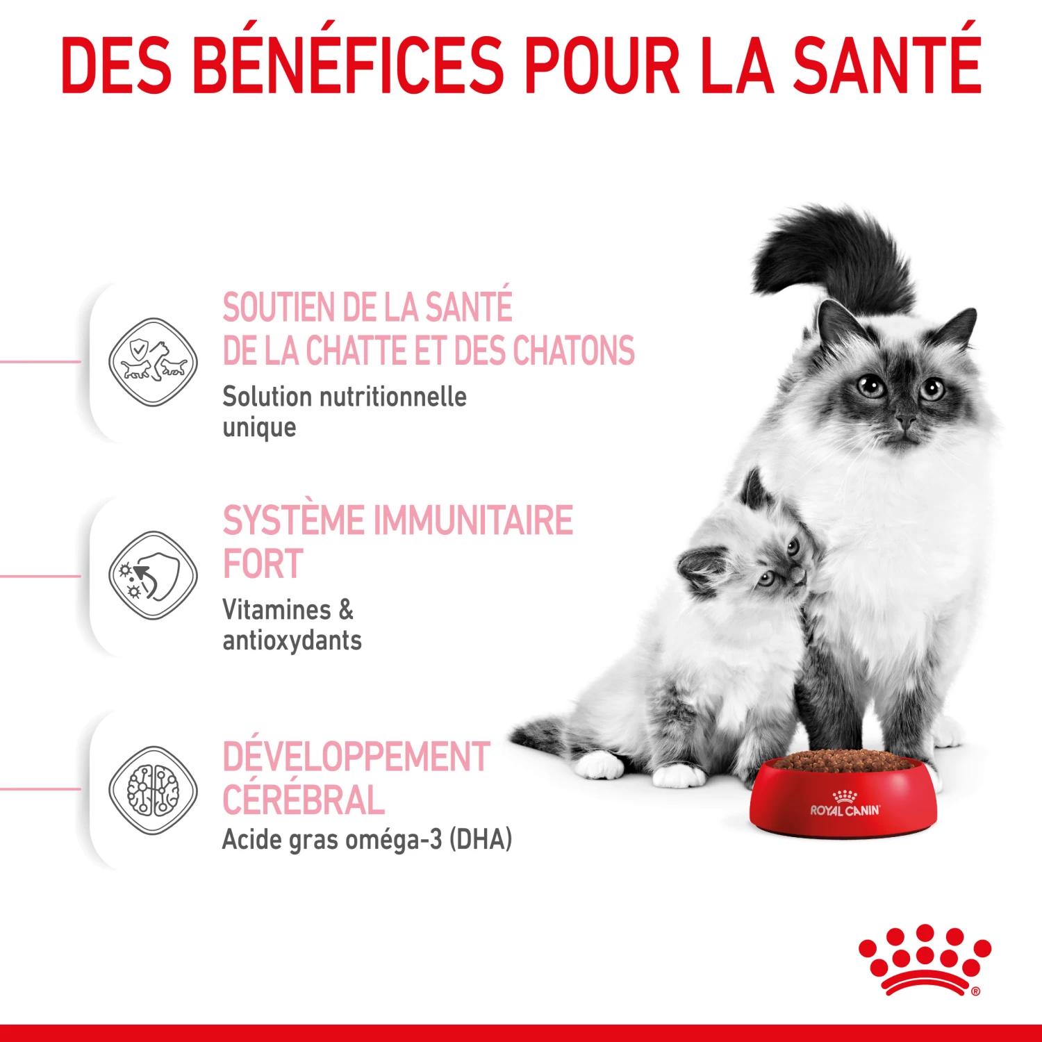 Royal Canin Mother & Babycat 2kg - Afbeelding 5