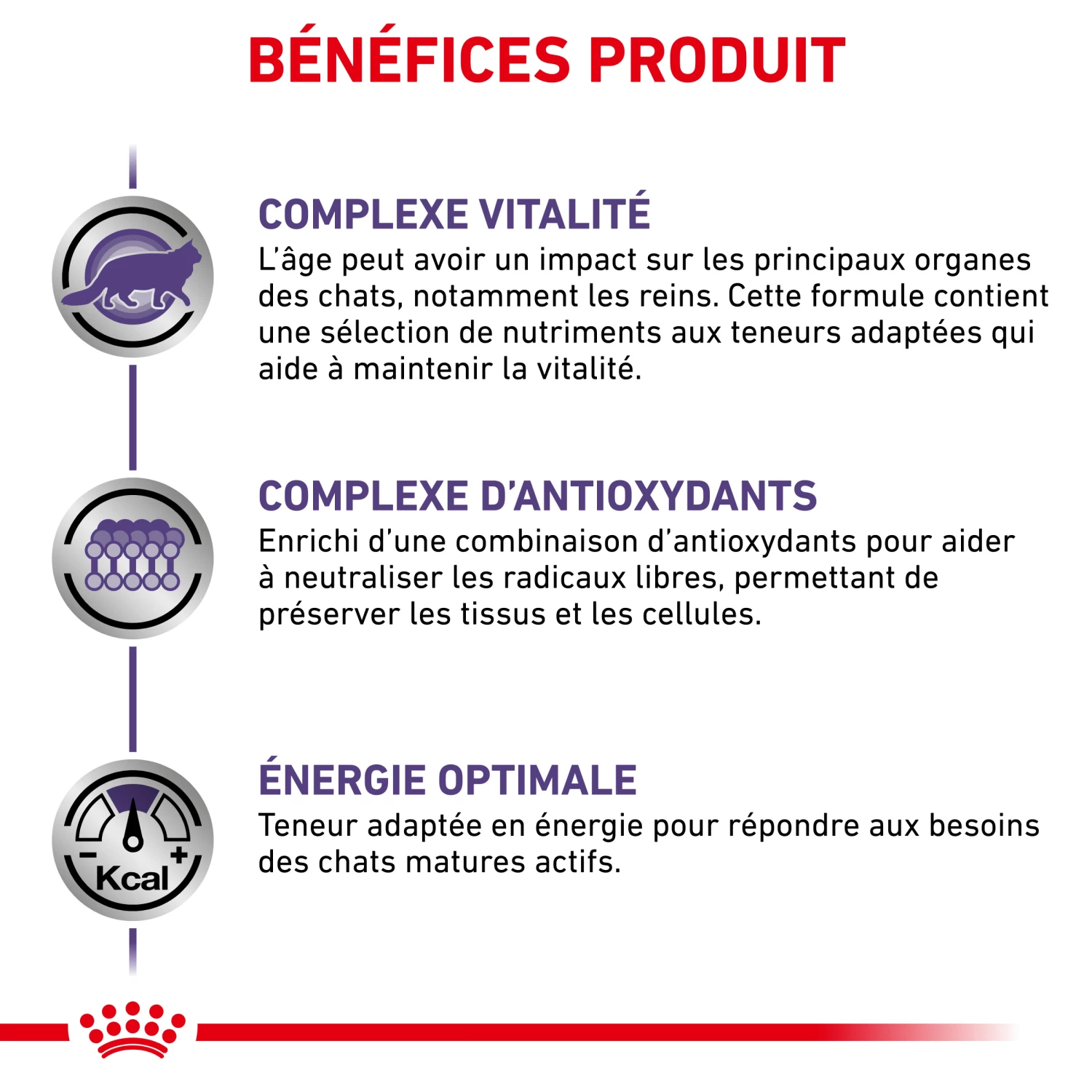 Royal Canin Mature Consult Cat - 12x85g - Afbeelding 3