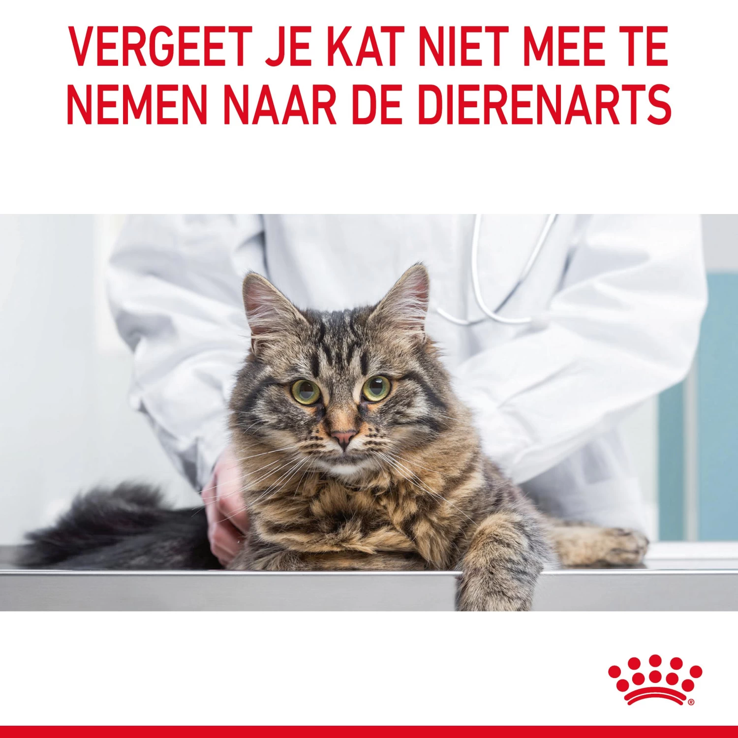 Royal Canin Light Weight Care Kattenvoer 1,5kg - Afbeelding 11