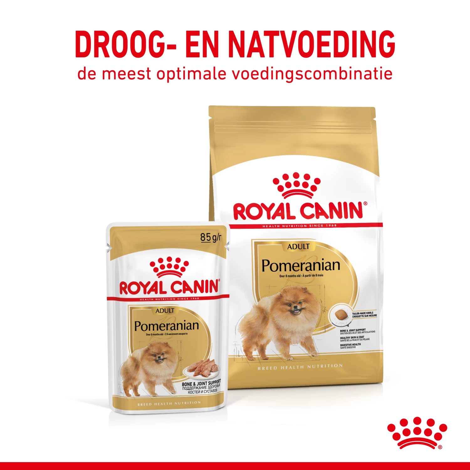 Royal Canin Pomeranian Adult Hondenvoer 12x85g - Afbeelding 5