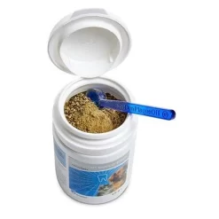 Orozyme Bucco Fresh Potje 40 G