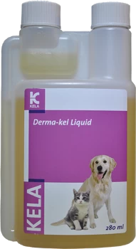 Derma-Kel Liquid 280ml