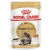 Royal Canin Maine Coon Adult Natvoer Kat 12x 85g