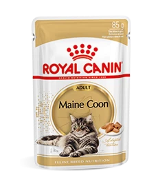 Royal Canin Maine Coon Adult Natvoer Kat 12x 85g