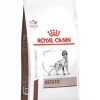 Royal Canin Hepatic - Hondenvoer - 1,5kg