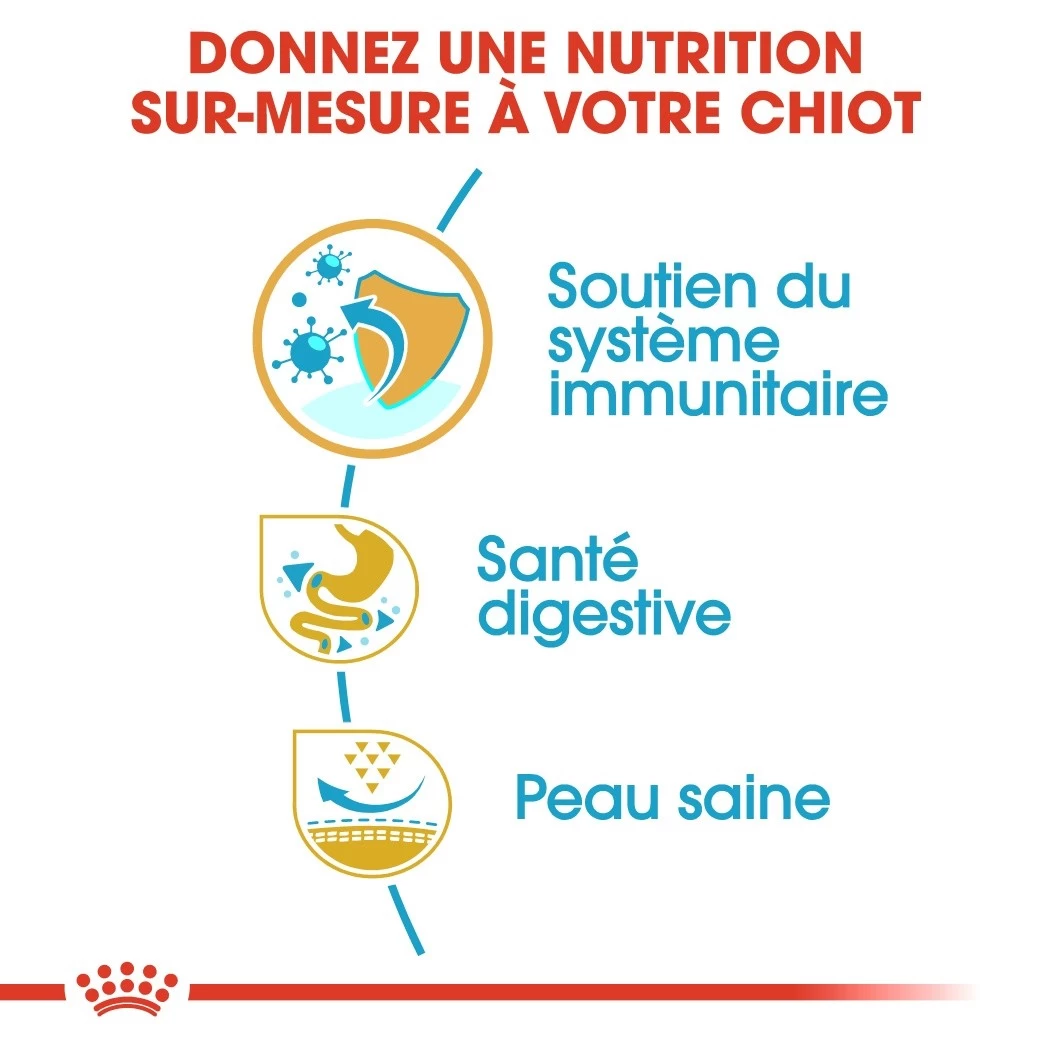 Royal Canin French Bulldog Puppy - Hondenvoer - 10kg - Afbeelding 4