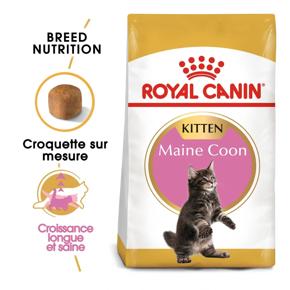 Royal Canin Maine Coon Kitten Kat 10kg - Afbeelding 3
